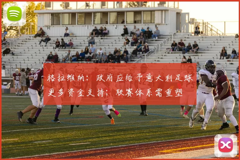 格拉维纳：政府应给予意大利足球更多资金支持；联赛体系需重塑