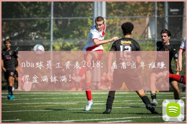 nba球员工资表2018：看看当年谁赚得盆满钵满！