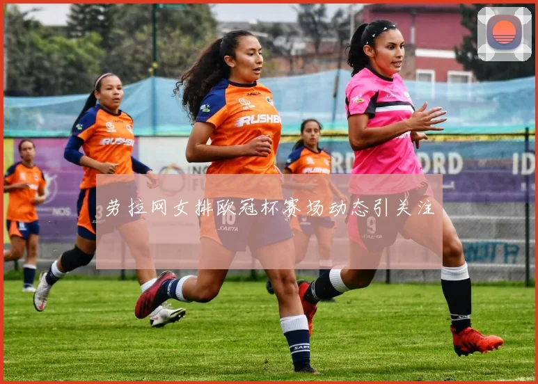 劳拉网女排欧冠杯赛场动态引关注