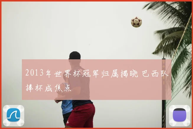 2013年世界杯冠军归属揭晓 巴西队捧杯成焦点