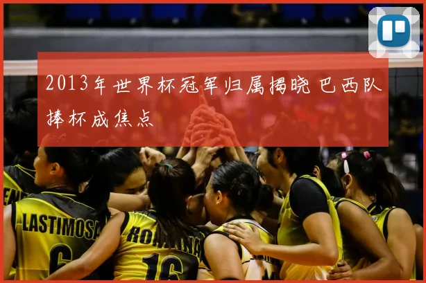 2013年世界杯冠军归属揭晓 巴西队捧杯成焦点