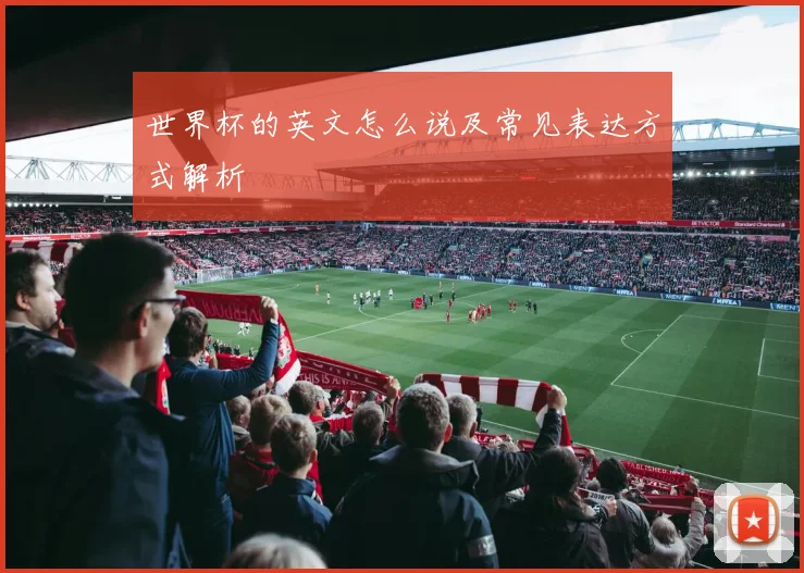 世界杯的英文怎么说及常见表达方式解析
