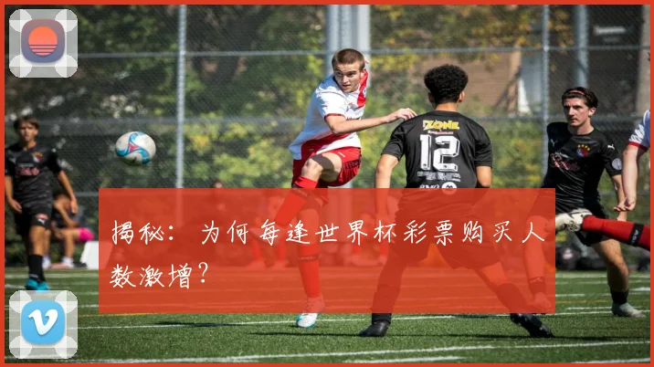 揭秘：为何每逢世界杯彩票购买人数激增？